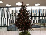 Weihnachtsbaum im Foyer der ILB © Foto: Ingrid Mattern