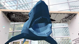 Ein virtueller Hai im Outdoor-Portal der Ausstellung © Foto: Biokon