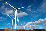 Windkraftanlagen auf einem Feld (Quelle: AdobeStock: Rafa Irusta)