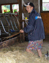 Jugendlicher im Kuhstall bei der Fütterung © Foto: Petra Werner