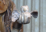 Nicht umsonst trägt auch das symbolische Tier der Weisheit Flügel – die Eule © Foto: Sylvia Krell (LASA)