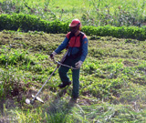 Geförderte Beschäftigungsmaßnahmen in der Landschaftspflege - Entkrauten von Entwässerungsgräben © Foto: Sylvia Krell (LASA)