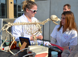 Schülerinnen des OSZ "Johanna Just" in Potsdam - zukünftige tiermedizinische Fachangestellte
